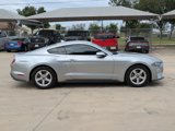 Used 2020 Ford Mustang Coupe image 2