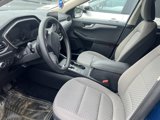 Used 2020 Ford Escape SE image 5