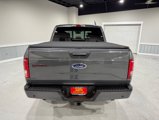 Used 2016 Ford F150 XLT w/ Equipment Group 302A Luxury image 5