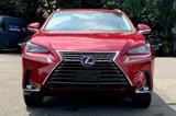 Used 2019 Lexus NX 300h AWD w/ Comfort Package image 3