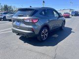 Certified 2022 Ford Escape SEL w/ SEL Stealth AWD Package image 5