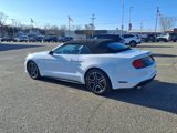 Used 2022 Ford Mustang Premium image 6