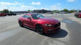 Used 2015 Ford Mustang Premium w/ Ecoboost Performance Package image 3
