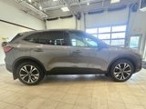 Used 2022 Ford Escape SE w/ SE Sport Appearance Package image 4