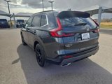Certified 2024 Honda CR-V Sport image 5