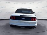Used 2021 Ford Mustang Premium image 5