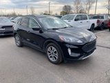 Used 2022 Ford Escape SEL image 5