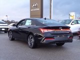 New 2025 Hyundai Elantra Limited image 4