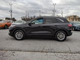 Used 2021 Ford Escape SE image 3