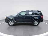 Used 2012 Ford Escape XLT image 6