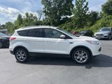 Used 2016 Ford Escape Titanium image 3