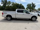 Used 2015 Ford F150 Platinum w/ Equipment Group 701A Luxury image 2