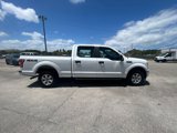 Used 2019 Ford F150 XL w/ Equipment Group 101A Mid image 3
