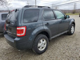 Used 2009 Ford Escape XLT image 6