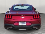 New 2025 Ford Mustang Coupe image 4