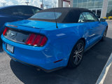 Used 2017 Ford Mustang Premium image 2