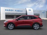 New 2025 Ford Escape ST-Line w/ Tech Pack #1 image 3