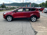 Used 2014 Ford Escape SE w/ Equipment Group 201A image 6