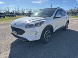 Used 2020 Ford Escape SEL image 4