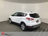 Used 2014 Ford Escape SE image 4