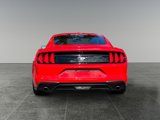 Used 2019 Ford Mustang Premium w/ Equipment Group 201A image 6