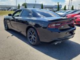 Certified 2022 Dodge Charger SXT w/ Blacktop Package image 3