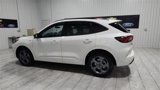 New 2024 Ford Escape ST-Line w/ Equipment Group 301A image 6