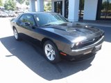 Used 2023 Dodge Challenger SXT image 2