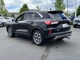 Used 2020 Ford Escape Titanium image 4