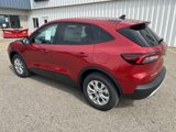 New 2025 Ford Escape Active w/ Cold Weather Package image 3