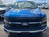 New 2025 Ford F150 XLT w/ Equipment Group 302A MID image 6