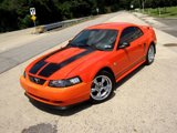 Used 2004 Ford Mustang Premium image 4
