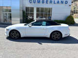 Used 2020 Ford Mustang Premium image 2