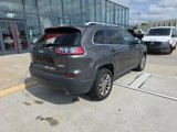 Used 2019 Jeep Cherokee Latitude Plus w/ Comfort/Convenience Group image 5