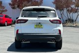 New 2025 Ford Escape ST-Line w/ Equipment Group 301A image 5