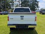 Used 2013 Ford F150 XLT w/ Luxury Equipment Group image 4