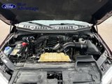 Used 2019 Ford F150 XLT w/ Equipment Group 301A Mid image 3