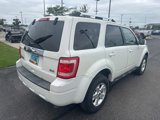 Used 2011 Ford Escape Limited w/ 301A Rapid Spec Order Code image 5