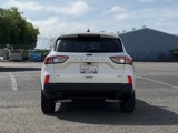 Certified 2022 Ford Escape SE w/ SE Sport Appearance Package image 5