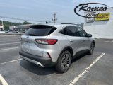 Used 2020 Ford Escape SEL image 5