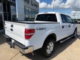 Used 2014 Ford F150 XLT w/ XLT Chrome Package image 6