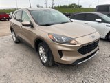Used 2021 Ford Escape SE image 2