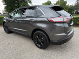 Used 2015 Ford Edge SEL w/ Equipment Group 201A image 6