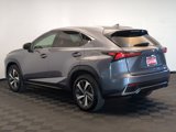 Used 2020 Lexus NX 300h AWD w/ Premium Package image 4