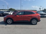Used 2020 Ford Escape SE image 4