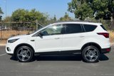 Used 2019 Ford Escape SEL image 5