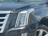 Used 2015 Cadillac Escalade Premium image 4