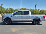 New 2024 Ford F150 STX w/ STX Black Appearance Package image 2