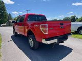 Used 2014 Ford F150 XLT image 2