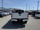 Used 2020 Ford F150 XL w/ Equipment Group 101A Mid image 4